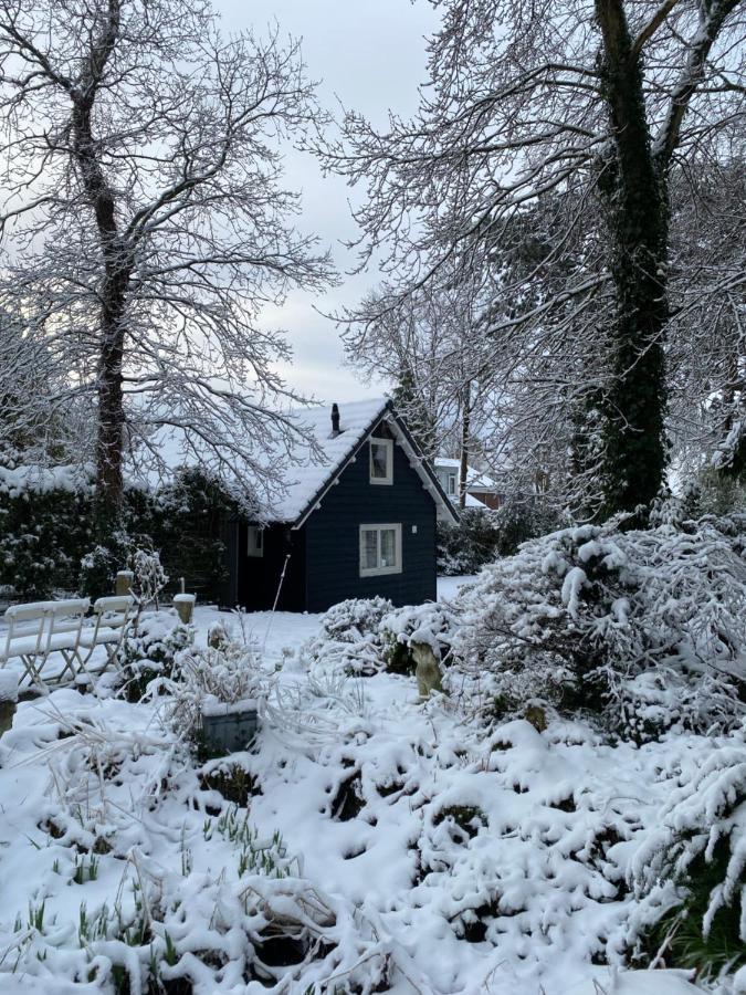 Garden Find Zandvoort Bentveld Esterno foto